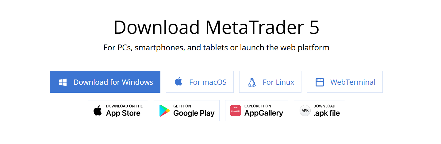 MetaTrader 5 installer window